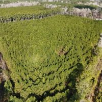 62-AC Hunting Investment Property - A Sportsman s Dream