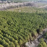 62-AC Hunting Investment Property - A Sportsman s Dream images 2