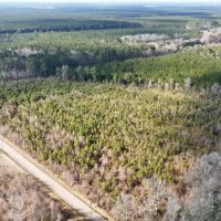 62-AC Hunting Investment Property - A Sportsman s Dream images 5