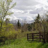 Vance Peak Ranch images 2