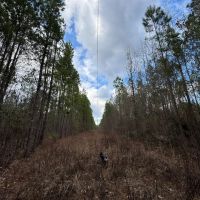 36.4 - acres in Heard County images 3