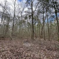 36.4 - acres in Heard County images 4