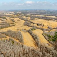 108 - Acres Pasture Fenced Cross-fenced Clay County Piggott Arkansas
