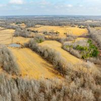 108 - Acres Pasture Fenced Cross-fenced Clay County Piggott Arkansas images 3