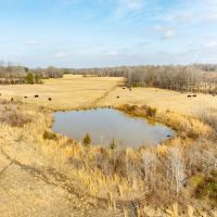 108 - Acres Pasture Fenced Cross-fenced Clay County Piggott Arkansas images 4