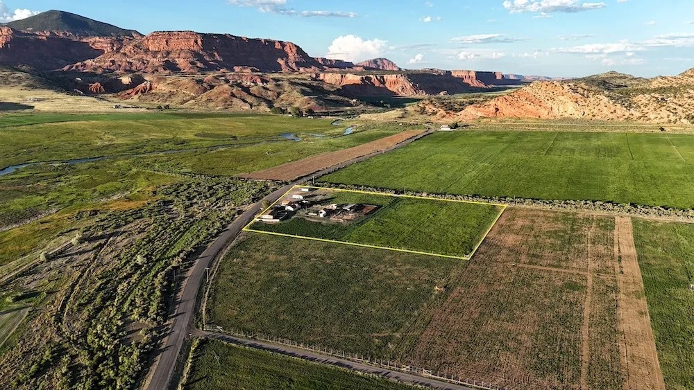 Fish and Feathers with Red Rock Views featured image
