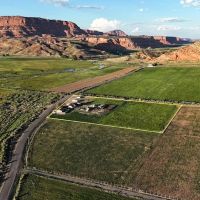 Fish and Feathers with Red Rock Views