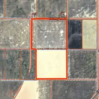 Prime 80-Acre Duck Hunting Fields in Southeast Missouri for the 2025-2026 Season
