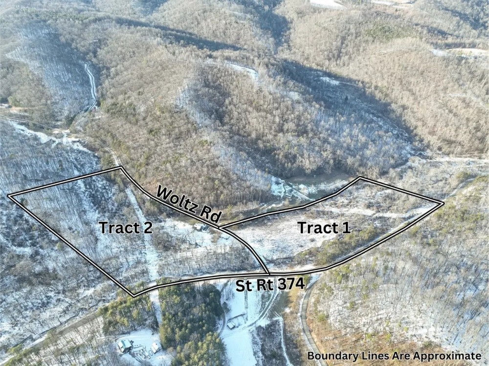Auction - Woltz Rd - Hocking County featured image