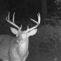 Auction - Woltz Rd - Hocking County images 4
