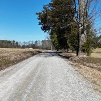 Cullman County AL Mini-Farm Lot 4 images 4
