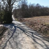 Cullman County AL Mini-Farm Lot 4 images 5