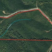 49.5 - ac all wooded with long paved frontage
