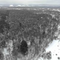 130 acres Recreational Land Farmland Building Lot with Creek in Sinclairville NY Route 70 images 4