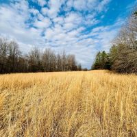 17.4 Acres in Holmes County MS