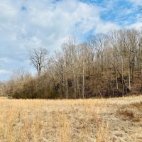 17.4 Acres in Holmes County MS images 3