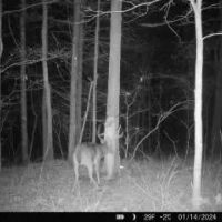 17.4 Acres in Holmes County MS images 4
