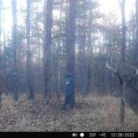 17.4 Acres in Holmes County MS images 5