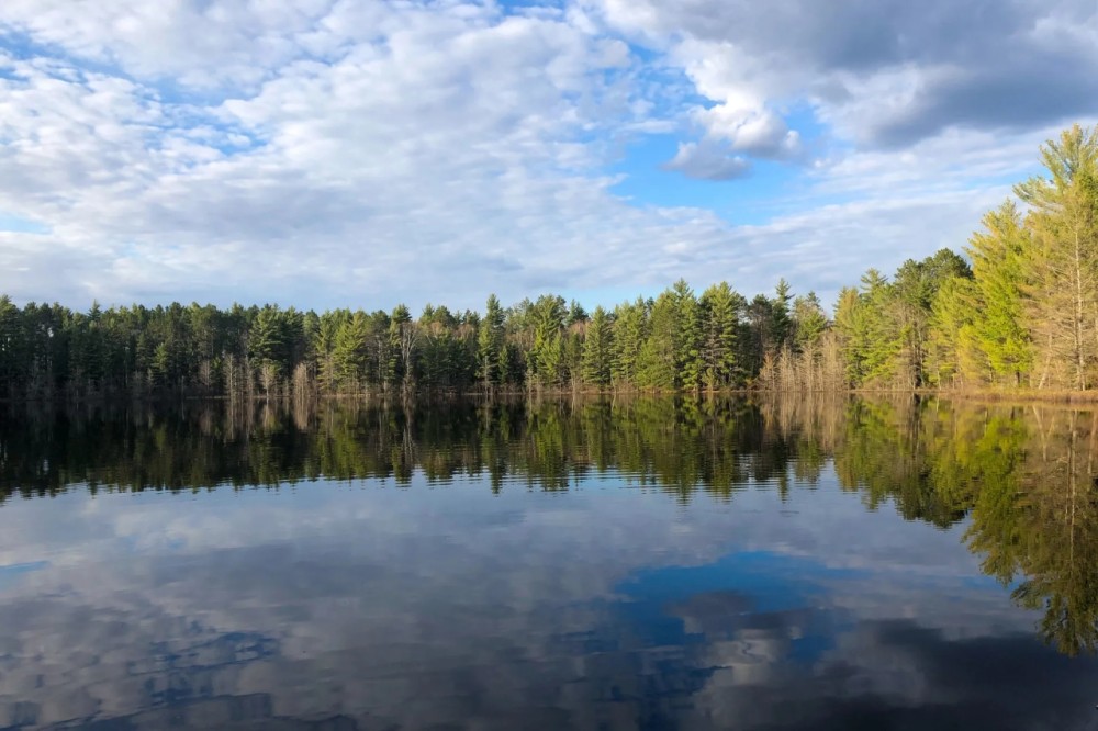 Rare Opportunity to Own 160 - Acres Featuring a 20 - Acre Lake featured image