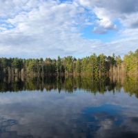 Rare Opportunity to Own 160 - Acres Featuring a 20 - Acre Lake