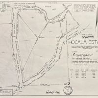 Rare Opportunity to Own 160 - Acres Featuring a 20 - Acre Lake images 2