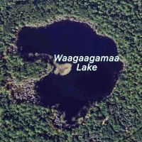 Rare Opportunity to Own 160 - Acres Featuring a 20 - Acre Lake images 3