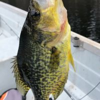 Rare Opportunity to Own 160 - Acres Featuring a 20 - Acre Lake images 5