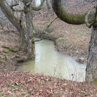 25 acres Barn w living quarters images 4