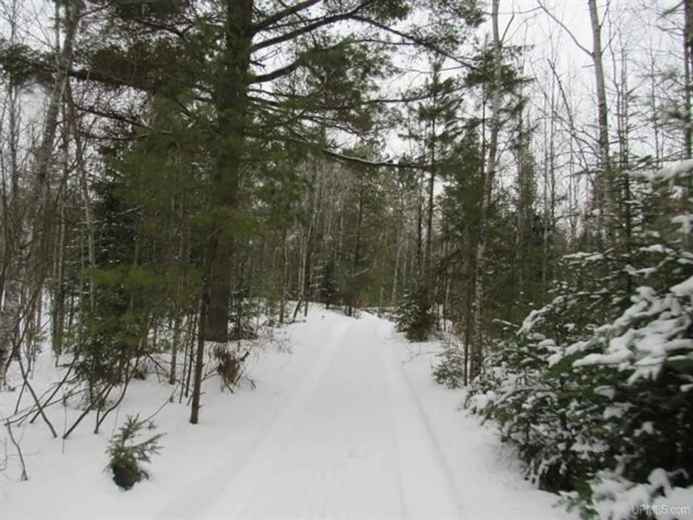 Secluded 240 - Acres Upper Peninsula 50166193 featured image