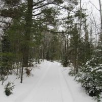 Secluded 240 - Acres Upper Peninsula 50166193
