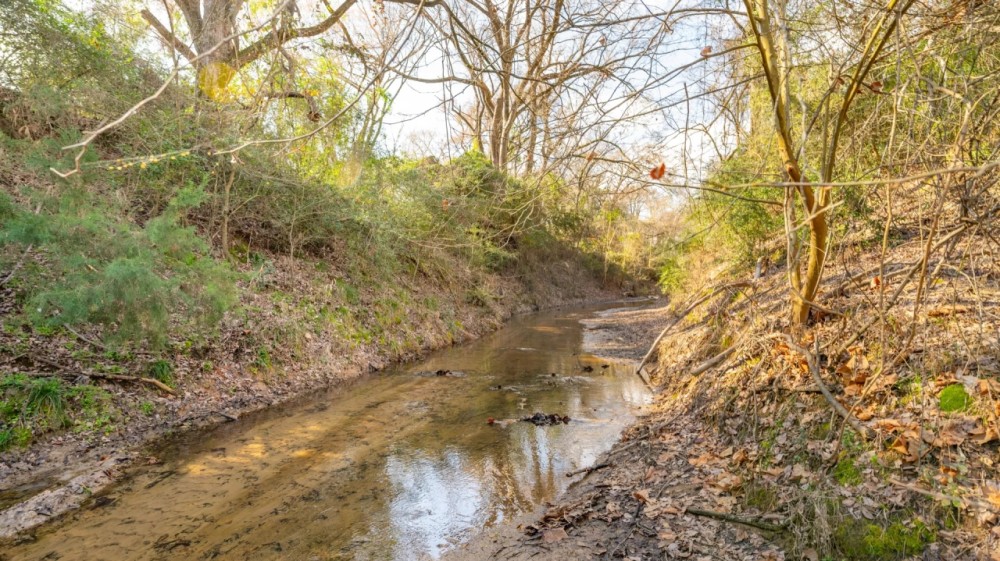 20.29 Acres in Milam Country featured image