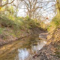 20.29 Acres in Milam Country images 1