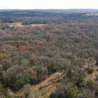 20.29 Acres in Milam Country images 2