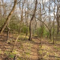20.29 Acres in Milam Country images 5