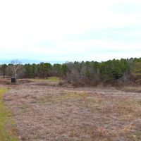 76.82 Acres in Benton County MS