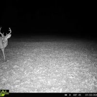 76.82 Acres in Benton County MS images 2