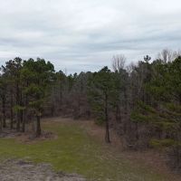 76.82 Acres in Benton County MS images 4