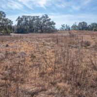 59.17 Acres Aucilla FL