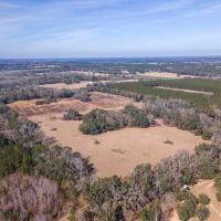 59.17 Acres Aucilla FL images 3