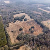59.17 Acres Aucilla FL images 4