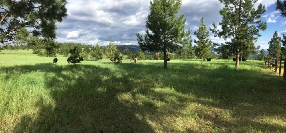 Hansell Road Mountain Property featured image