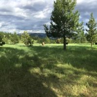 Hansell Road Mountain Property