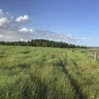 Hansell Road Mountain Property images 2