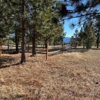 Hansell Road Mountain Property images 4
