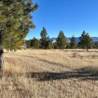 Hansell Road Mountain Property images 5