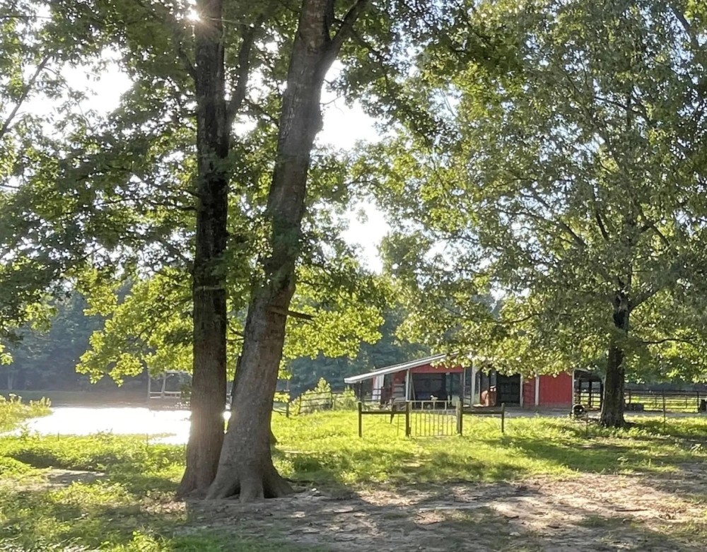 Cedar Creek Get Away 83 acres m l featured image