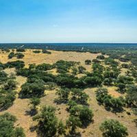 Sutton County Harrell Road Ranch SE of Sonora images 4