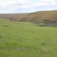 Hail Ridge Farm