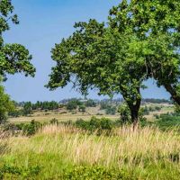 Gillespie County Hilltop View Ranch N of Fredericksburg