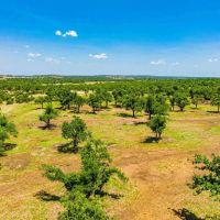 Gillespie County Hilltop View Ranch N of Fredericksburg images 2
